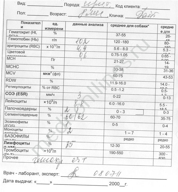 цена анализа крови на сахар